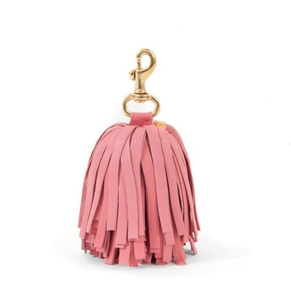 Clare Vivier Tassel